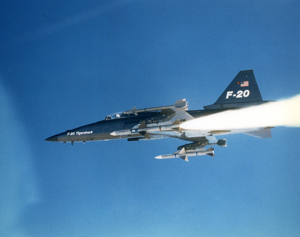 极富悲剧色彩的虎鲸,虎鲨悲剧