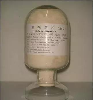 纯进口em菌种原种,台湾em复合菌种