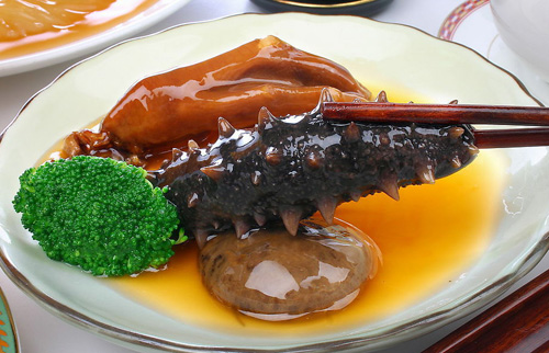 人参海参燕窝真的大补吗,海参燕窝鱼翅人参