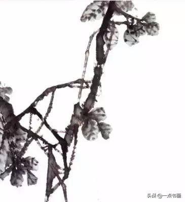 柿子公鸡写意画法,徐湛写意柿子的画法