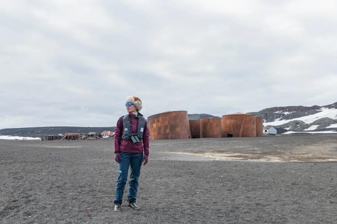 北海布氏鲸视频,广西北海布氏鲸图片