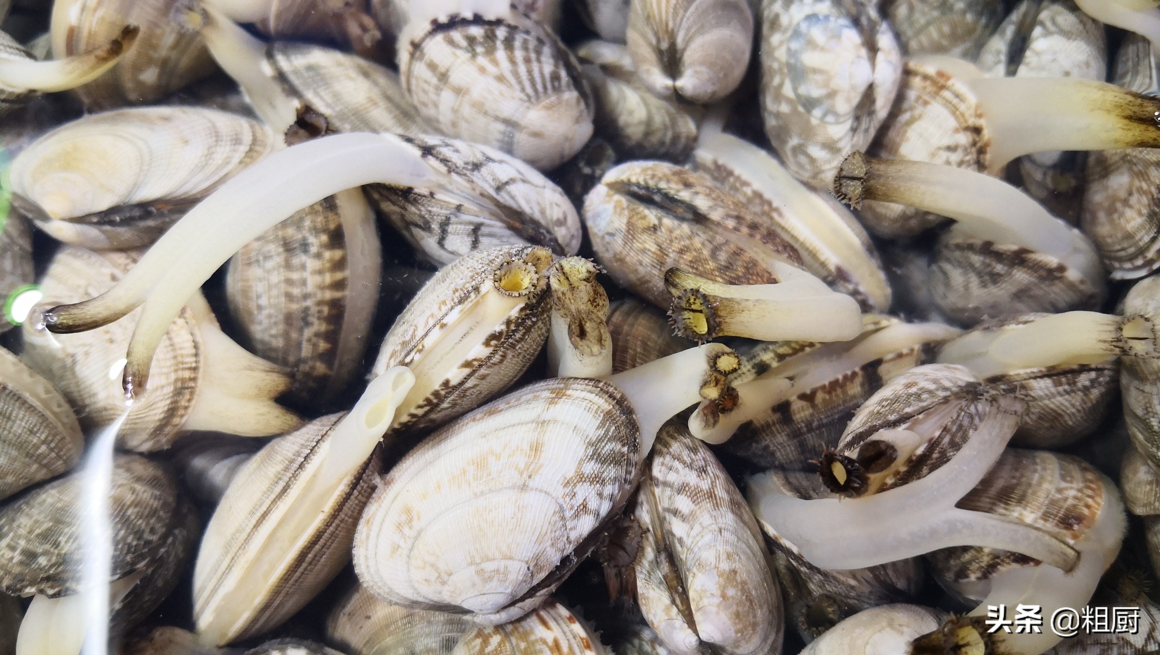 不辣的花甲炒鸡,鲜香花甲鸡的秘制酱料做法