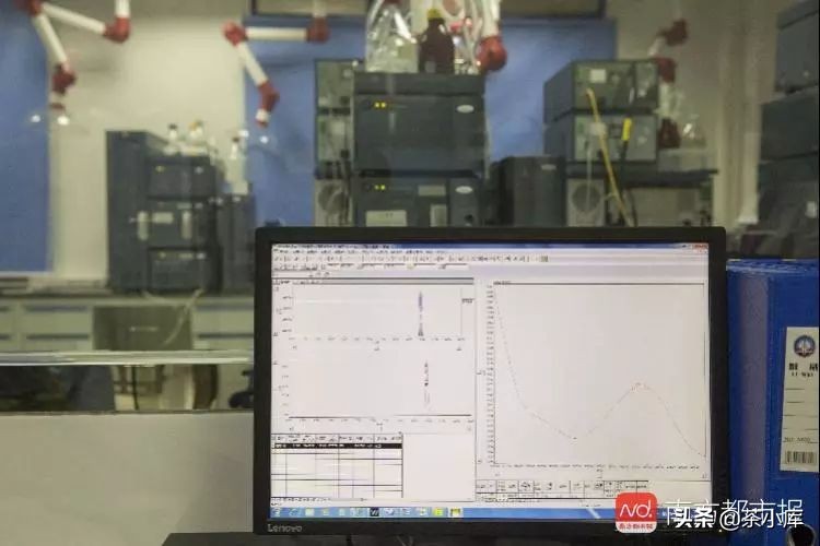 无糖奶茶的含糖量,无糖奶茶含糖量高吗