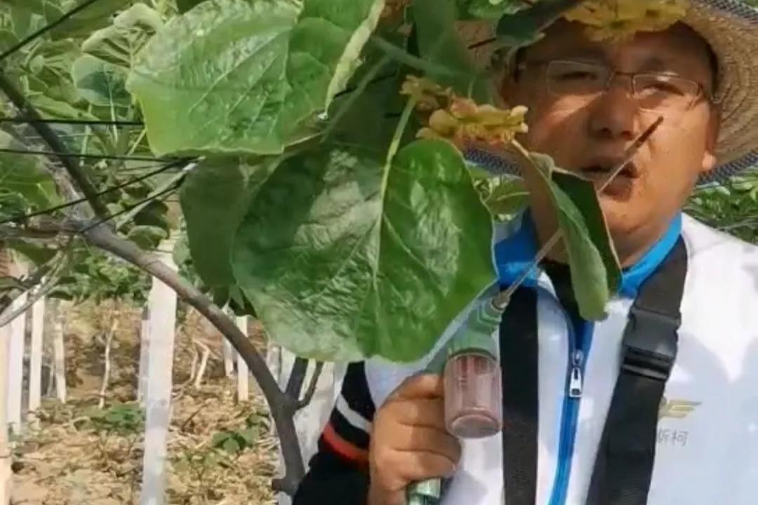 回农村创业成功的故事,在农村创业的创业经历简介