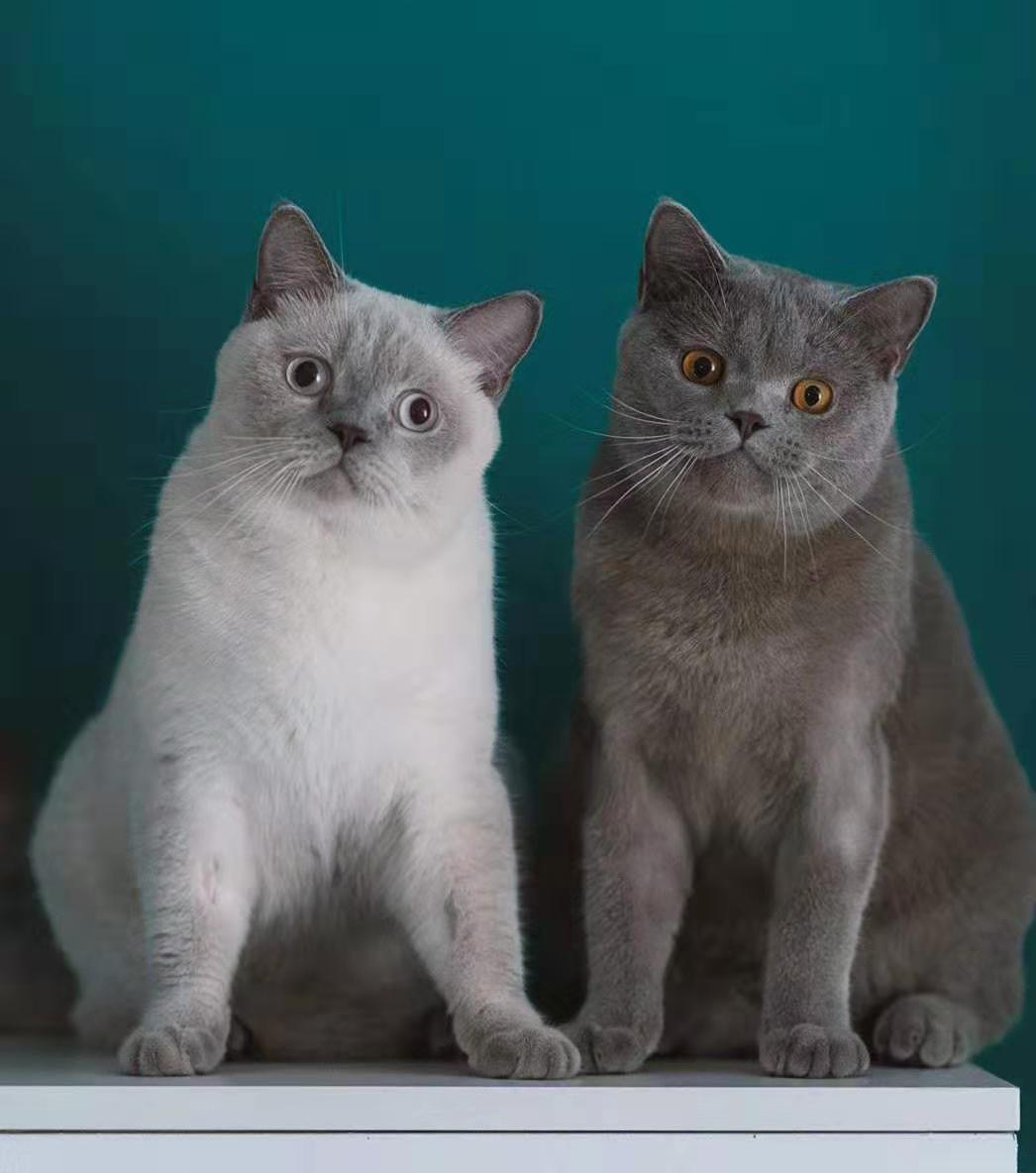 家装建材一站式全包半包,半包装修需要购买什么材料