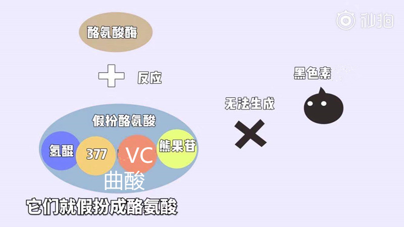 美白小科普美白的产品应该怎么选,最有效的美白精华有哪些成分