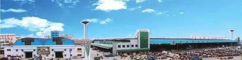中国蔬菜批发市场大全,邓州菜农蔬菜批发市场在哪里
