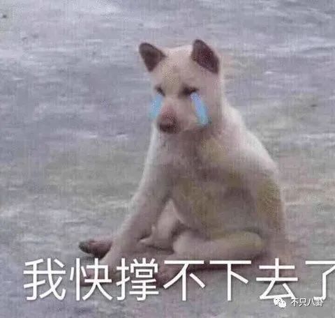 还没完？史上最强小三的狗血连续剧又出新番了……