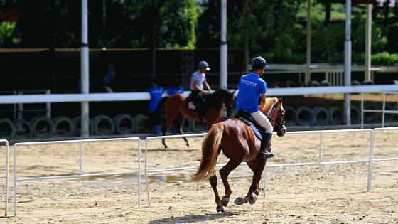 女神节优惠门票深圳,女神节深圳游玩攻略