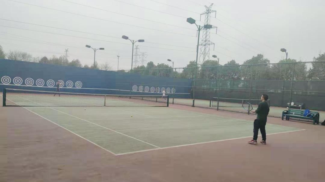 网球场地基础知识有哪些,科普常识讲解