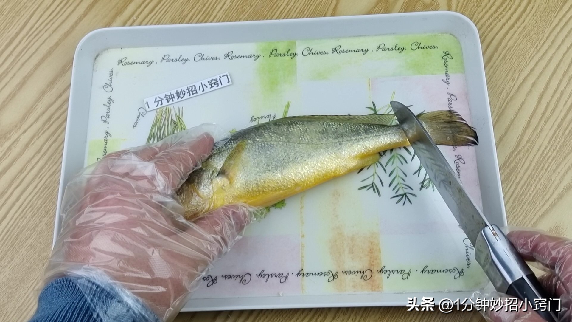 巧去鱼鳞不飞溅不脏手省时省力,最实用的刮鱼鳞工具