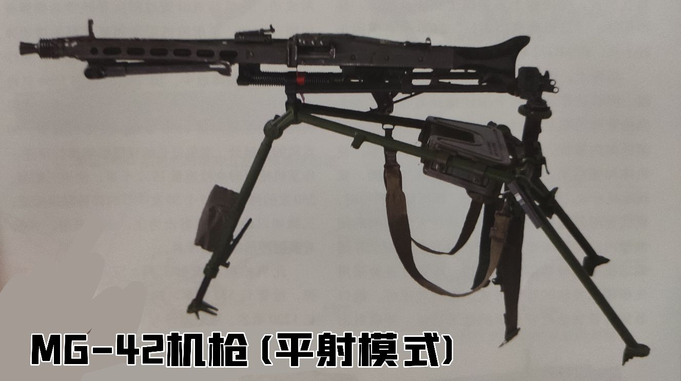 英国枪史图册全篇,德国枪图片