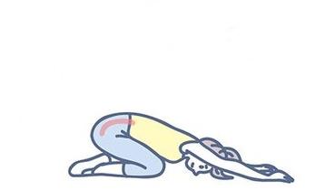 骨盆后倾下交叉综合征的纠正训练,下交叉综合征骨盆前倾还是后倾