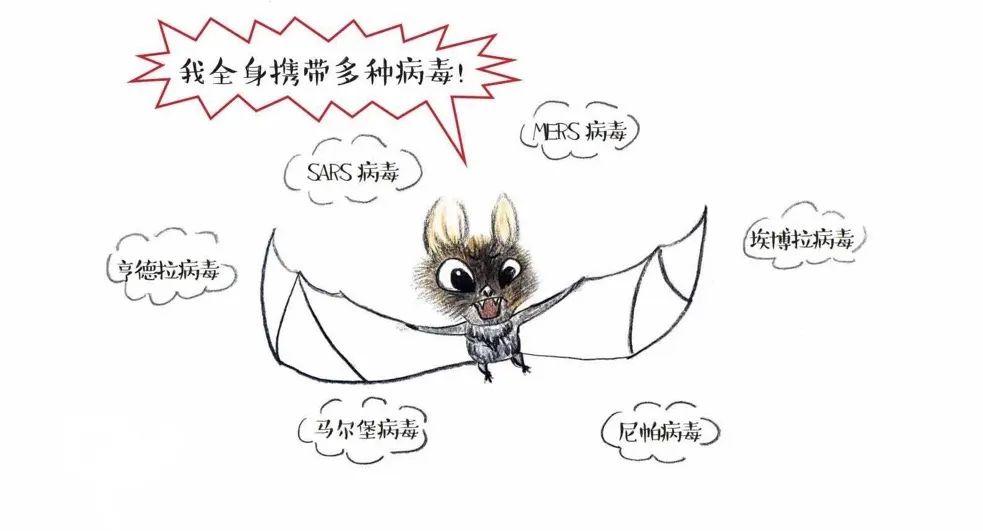 农村新冠肺炎防控工作方案,农业农村厅新型冠状病毒疫情防控