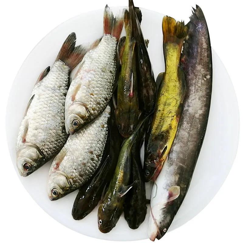 小鱼冻怎么烧好吃,冬天野生小鱼冻的做法