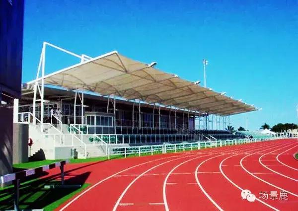 手的名词和动词,手的动词搭配