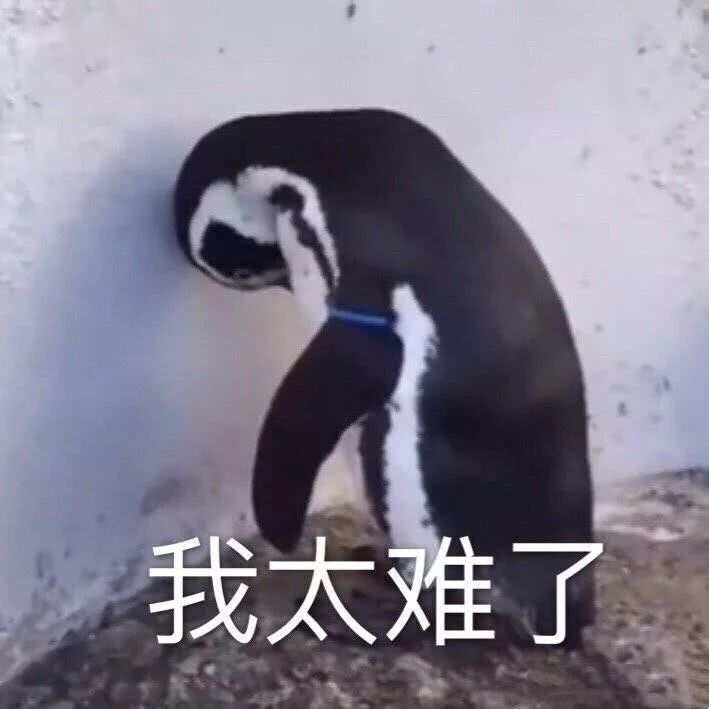 弋江装修全包半包清包哪个划算,装修小白必看装修材料购买顺序表