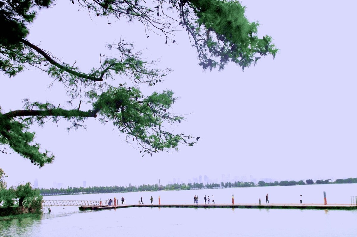 深圳5a景区门票免费,河南省5a景区免门票