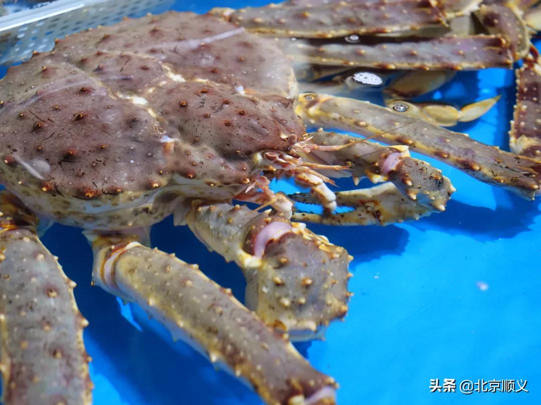 顺义区年货节日福利,顺义区年货节日福利值得购买吗