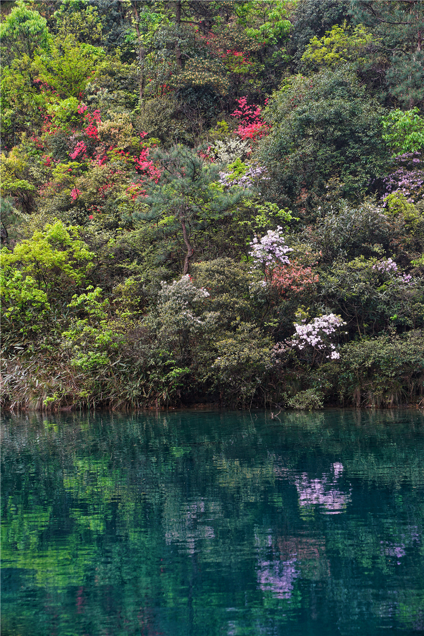 杭州桐庐景点最好玩的排名,杭州桐庐县有什么好玩的