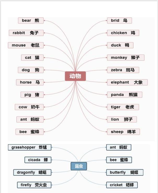 单词记忆小卡片怎么记单词,单词记忆法电子单词卡