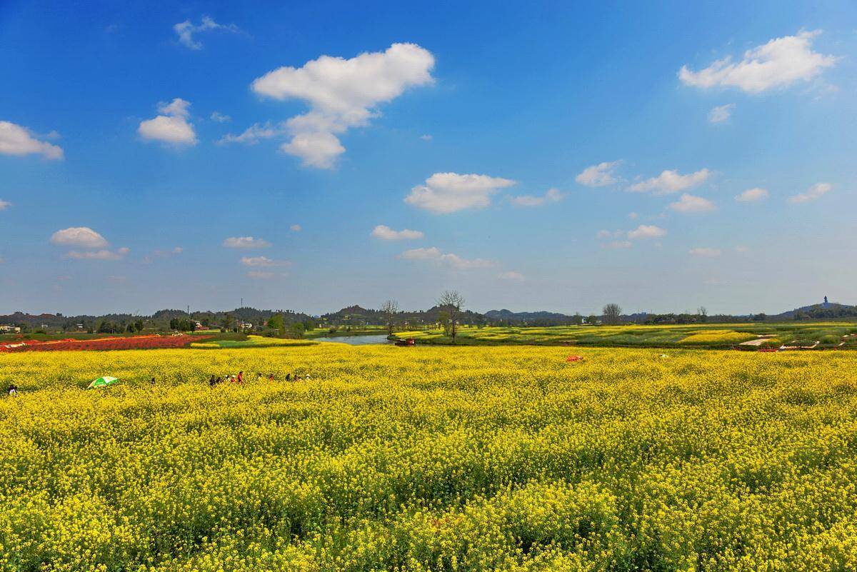 重庆主城区对其他区看法,重庆区县和主城旅游区别