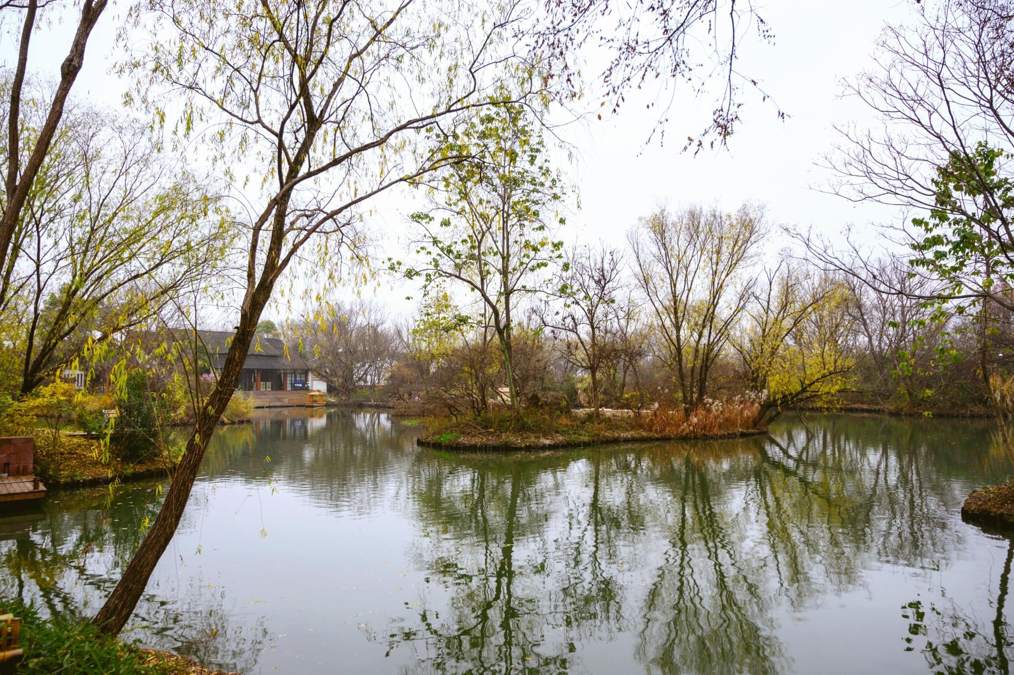 被誉为“杭州之肾”的西溪湿地值得去吗?网友:景色比西湖还美