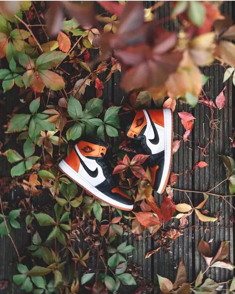 airjordan1好看的配色,最全airjordan1低帮配色