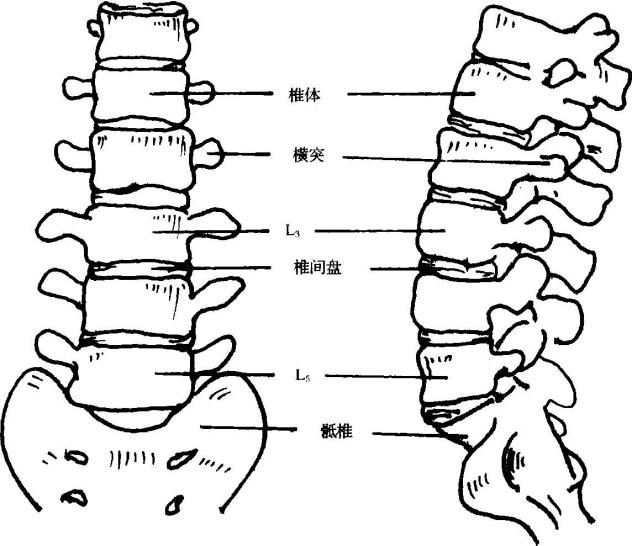 受伤只能平躺久了腰疼怎么缓解,久站的工作怎么缓解腰疼