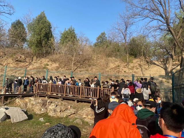 清明节泰山住宿,泰山旅游清明节人多吗