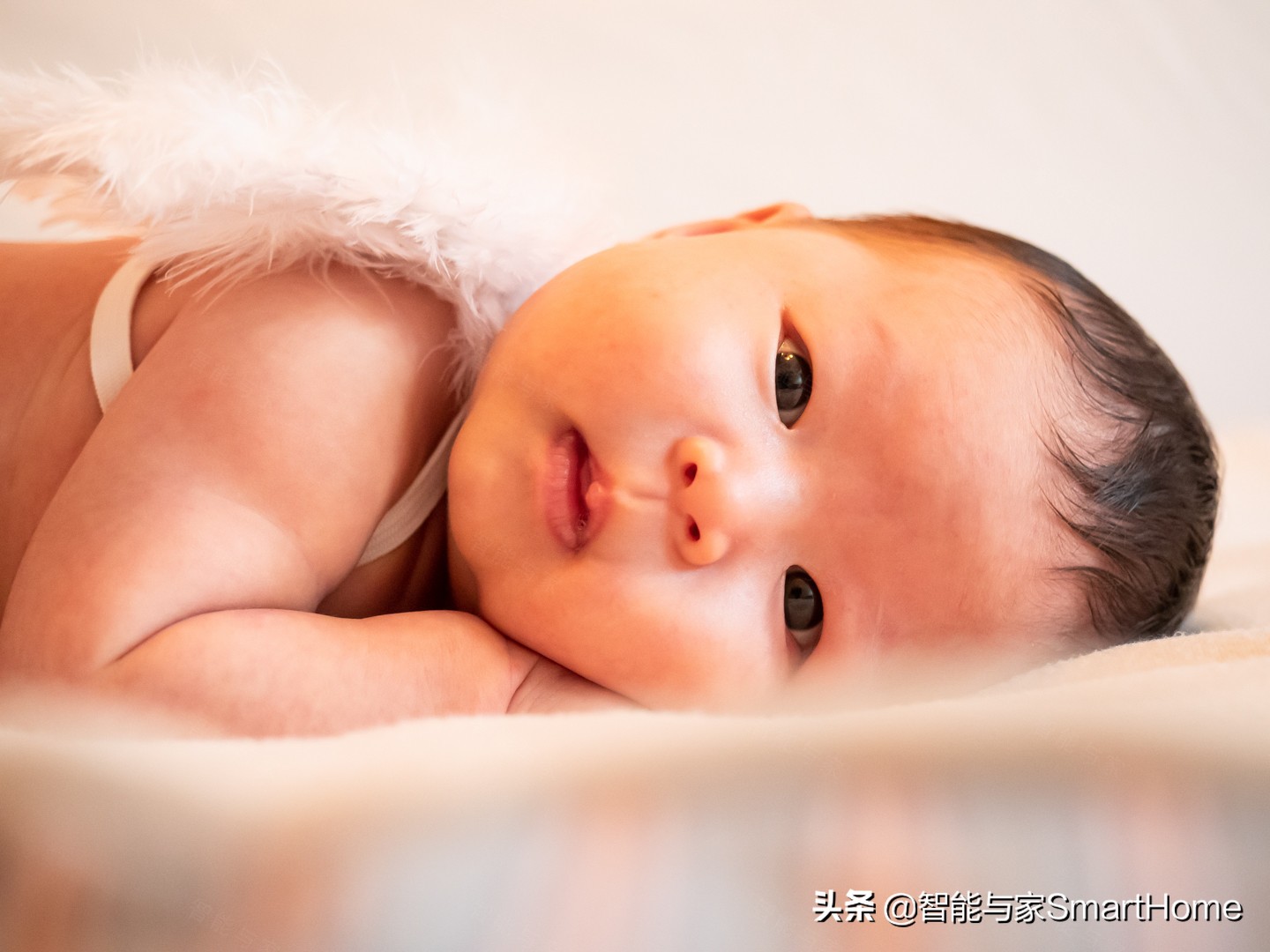 奥林巴斯e-m10markiv微单相机,奥林巴斯e-m10markiv相机