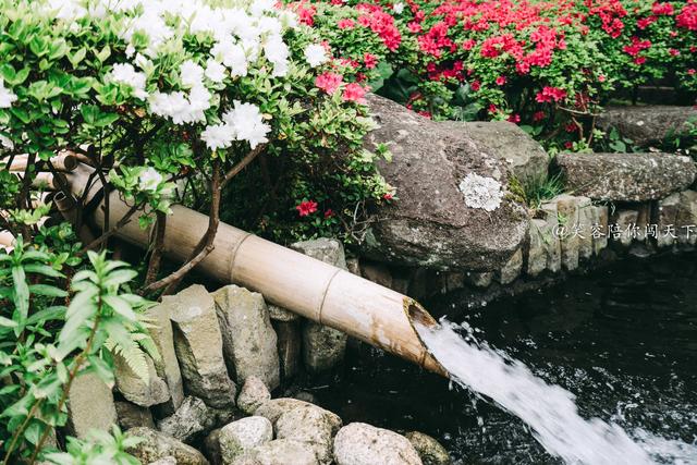 镰仓冬天旅游攻略,镰仓一日游最佳攻略