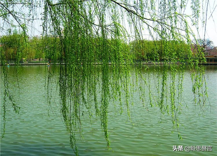 夏日诗句精选,30首夏日诗词人间最美是初夏