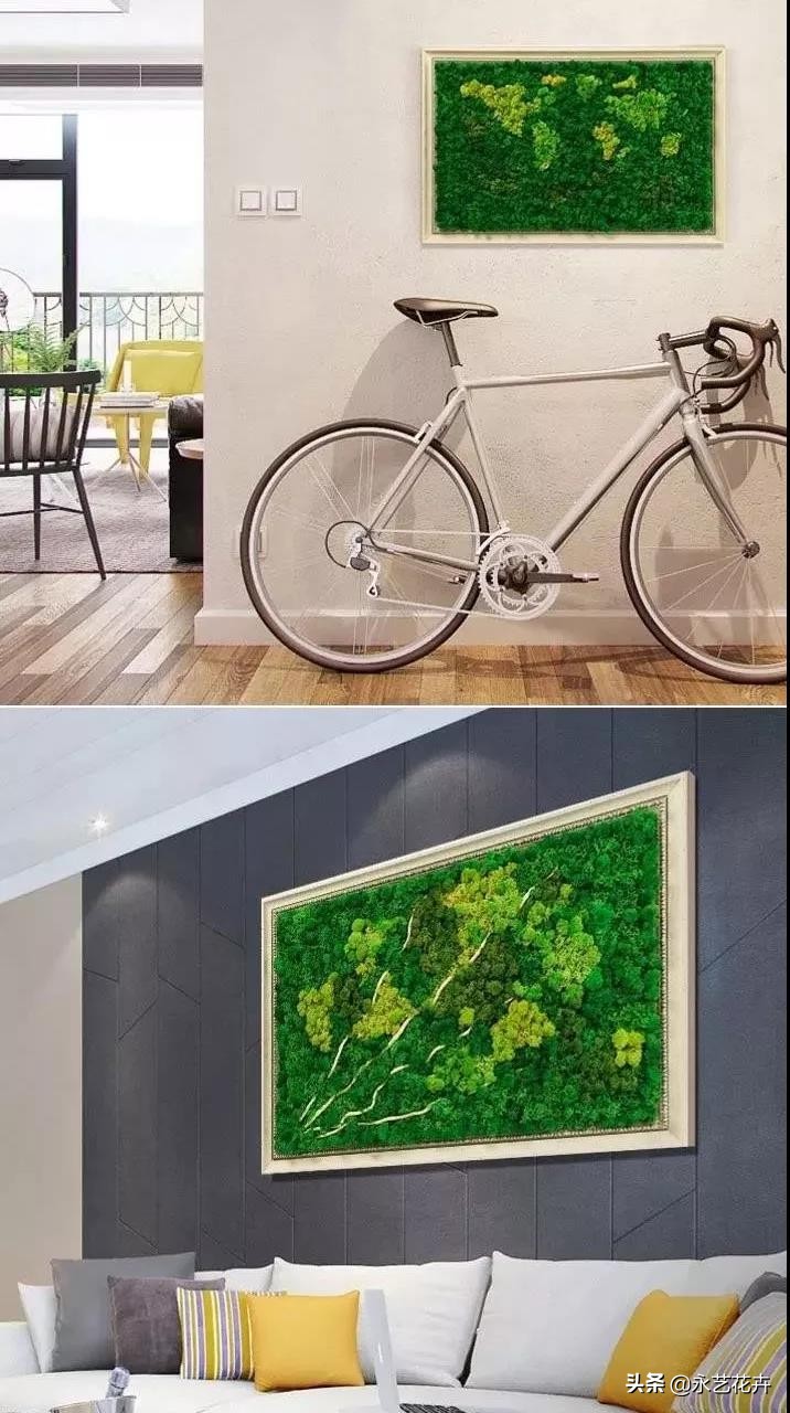 永生花苔藓植物墙,永生苔藓的价格