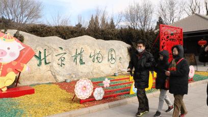 美美美！海淀这个地儿，万株兰花惊艳来袭，你招架的住吗？