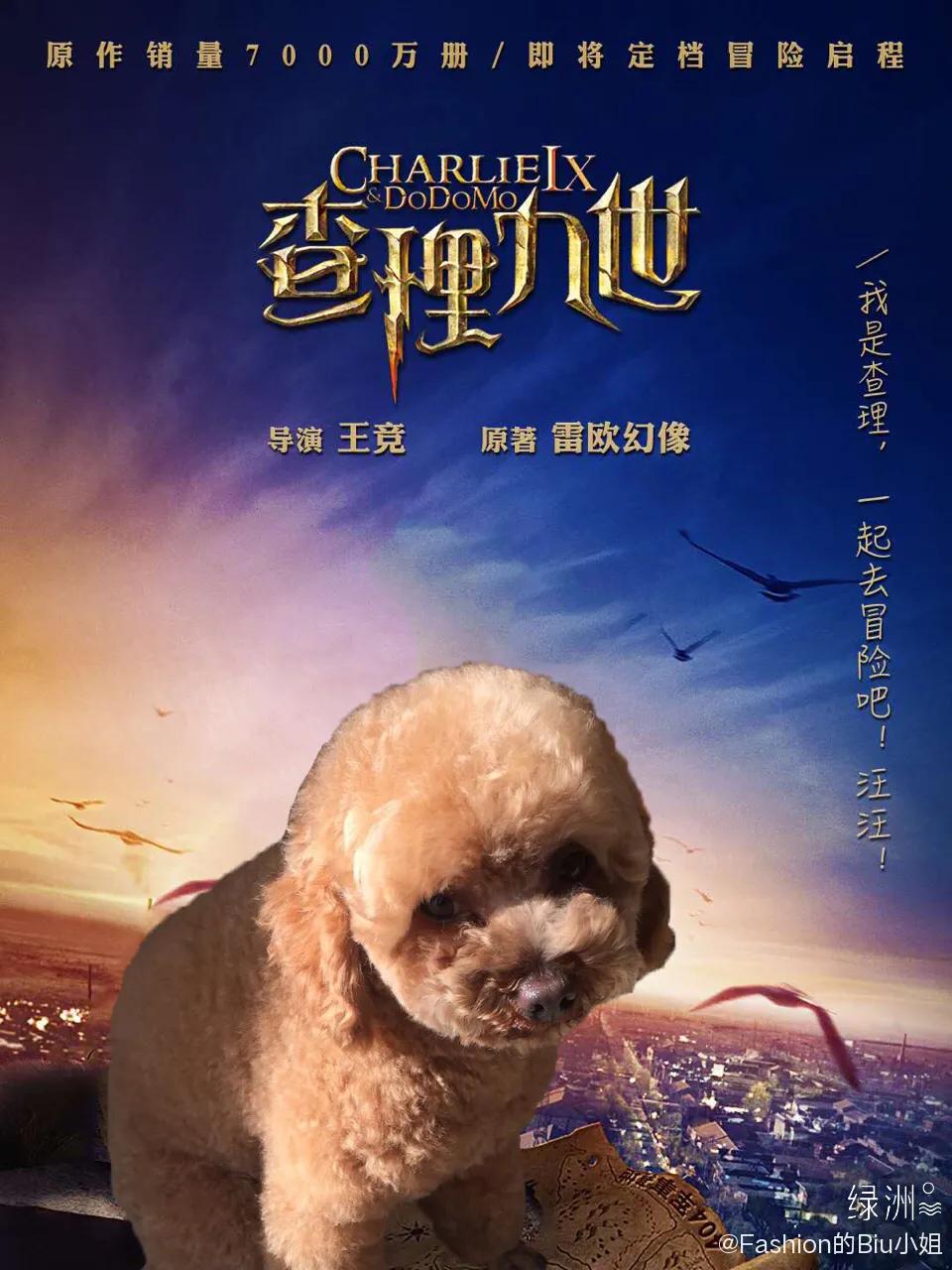 网友做的电视剧海报,让人惊艳的电影海报