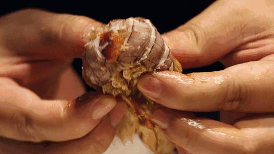 秦皇岛美食排行榜前十名海鲜,秦皇岛最好的海鲜自助餐厅排名榜