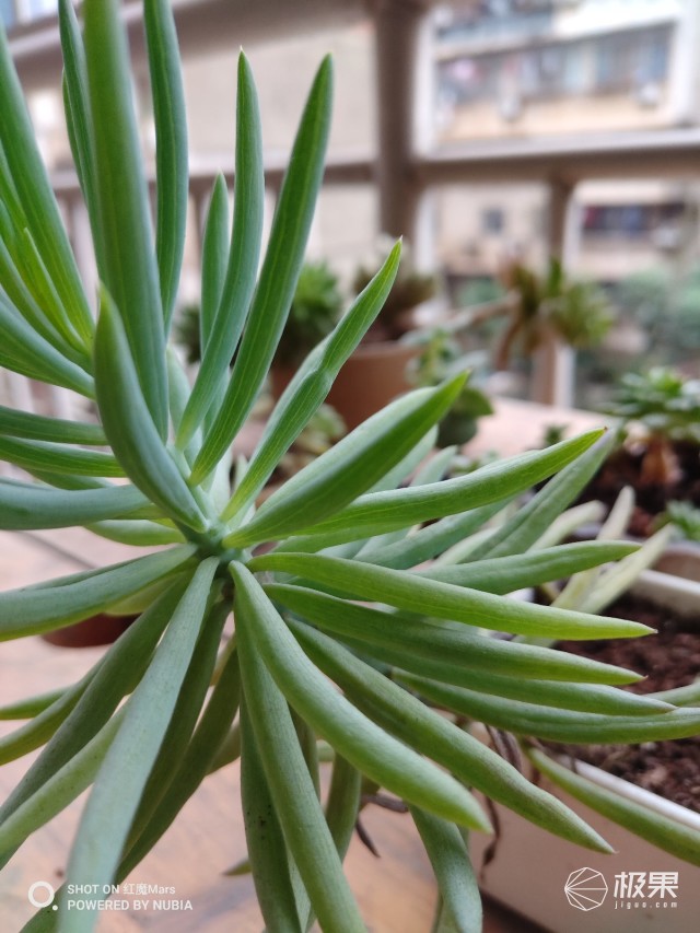 努比亚红魔mars电竞手机,努比亚红魔mars玩王者荣耀怎么样