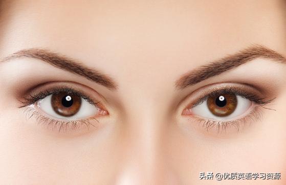 英语mybestfriend什么意思,mybestfriend英文笔记