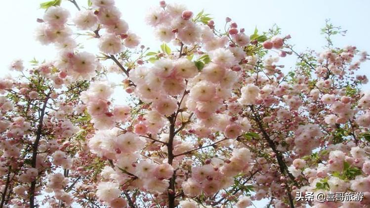 绵阳三台周边游玩景点推荐,绵阳三台旅游路线