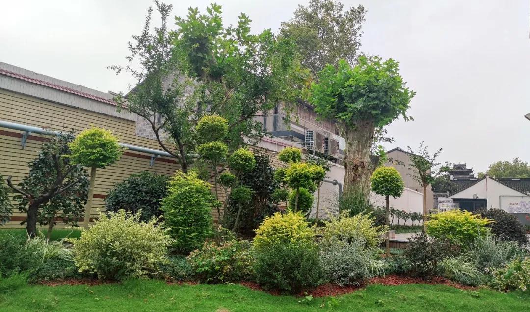 最美的风景美丽的校园,最美的风景就是校园