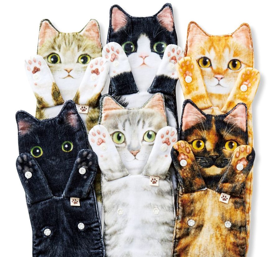 日本人又来骗猫奴们的钱啦!但我心甘情愿掏钱了!