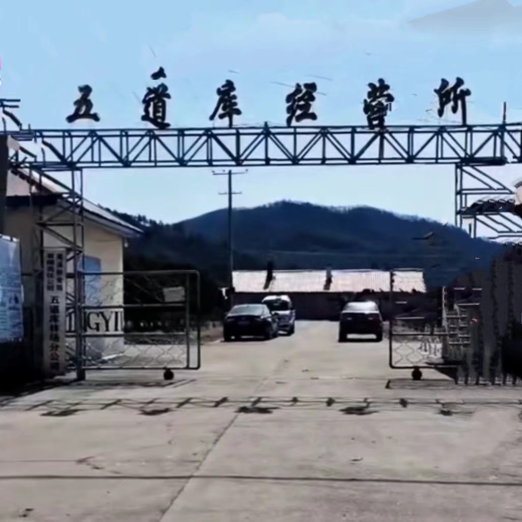 90年代伊春往事,伊春林区往事