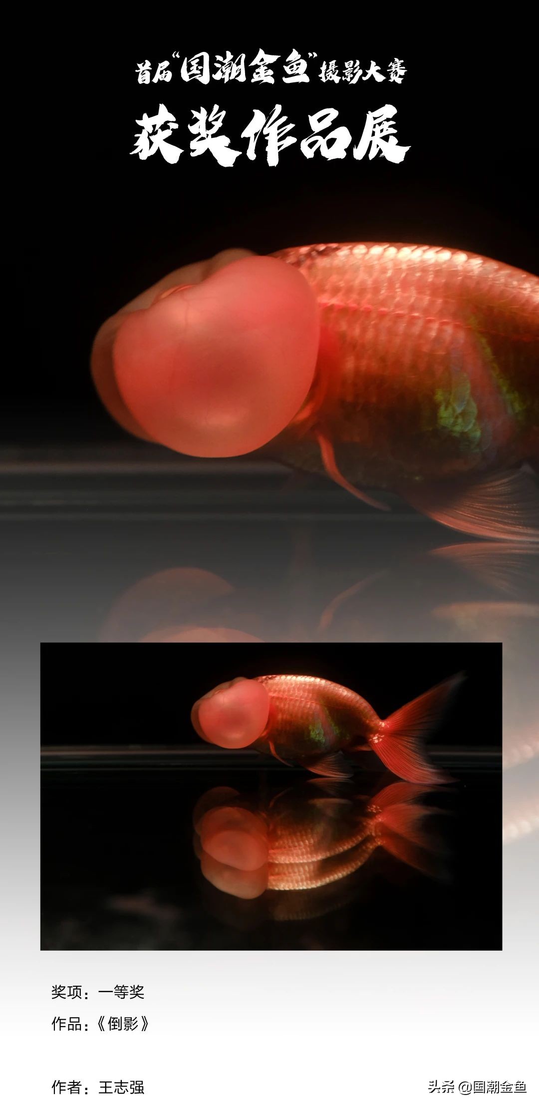 鍥芥疆閲戦奔鎽勫奖,涓浗閲戦奔鎽勫奖