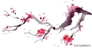 实外西区双语班怎么样,成都实外双语班