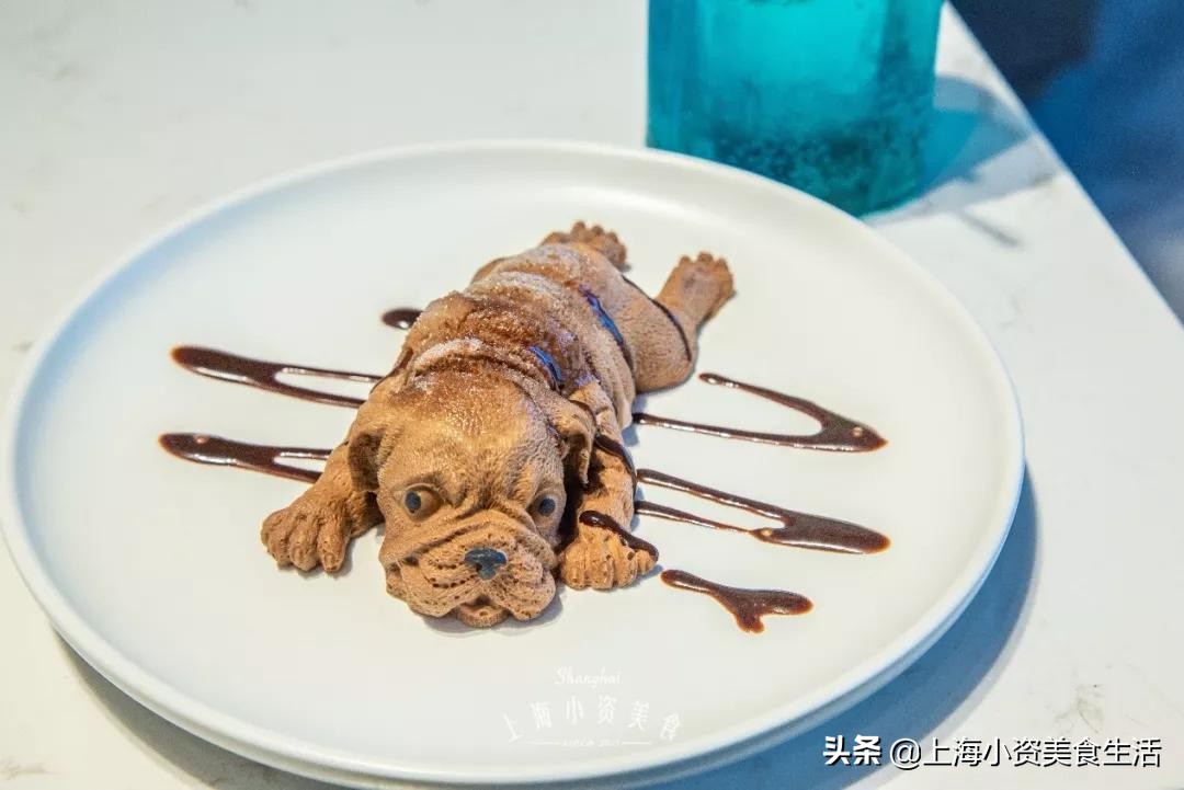 魔都哈士奇体验馆宠物咖啡,魔都哈士奇咖啡馆