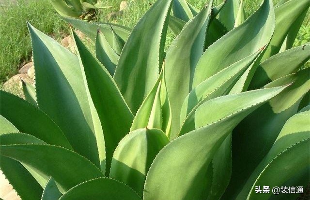 旧房入住前注意什么,新房入住注意事项大全视频