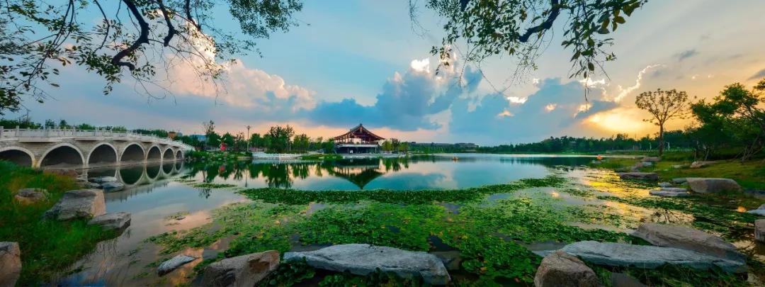 郑州动物园和五龙山动物园,广州动物园与长隆野生动物园对比