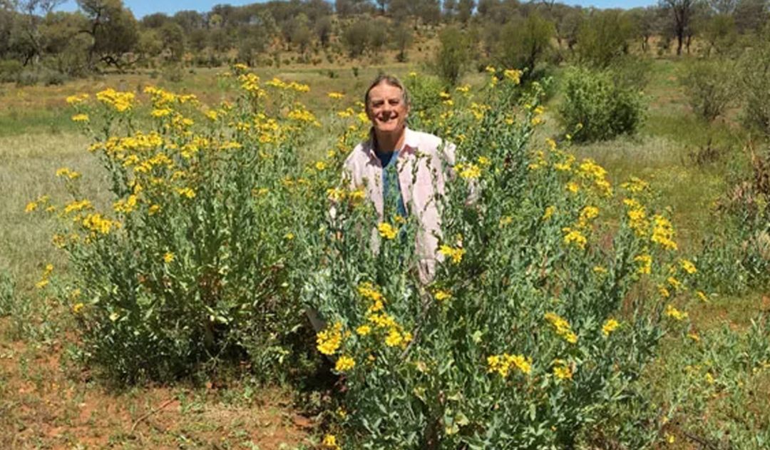 鏈堜寒鏄熷骇鎬庢牱搴斿璐熼潰鎯呯华,鏈堜寒鏄熷骇鎯呯华鐤楁剤