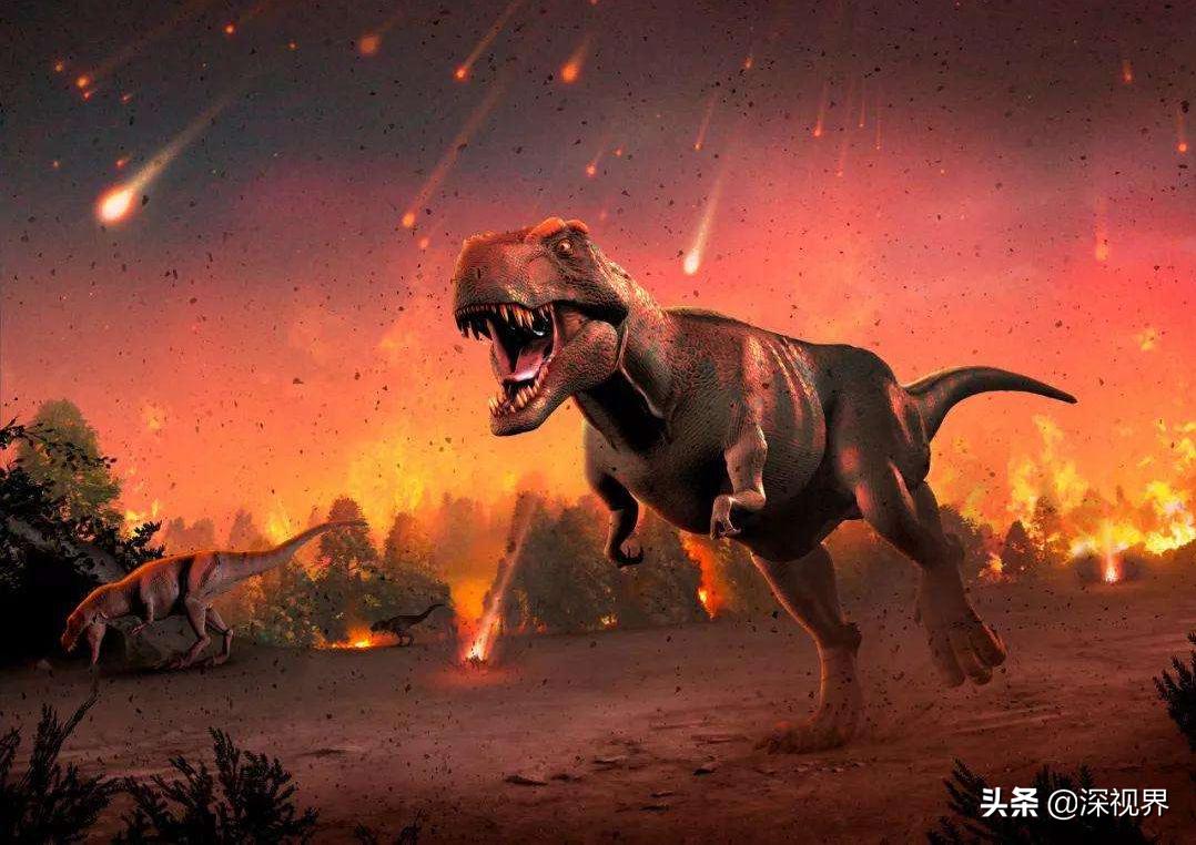 恐龙从几次大灭绝中活了下来,恐龙有没有灭绝只是进化成了鸟类